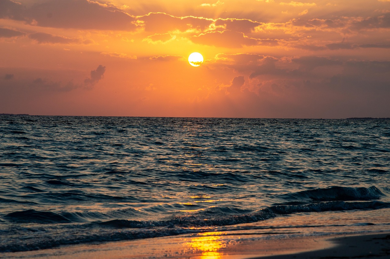 Monitor Battery Usage